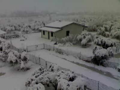 Emergenza neve e i giardini di Marzo